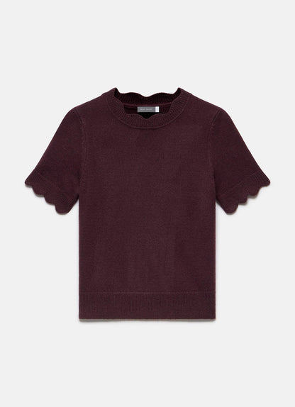 Burgundy Scallop Knit Top