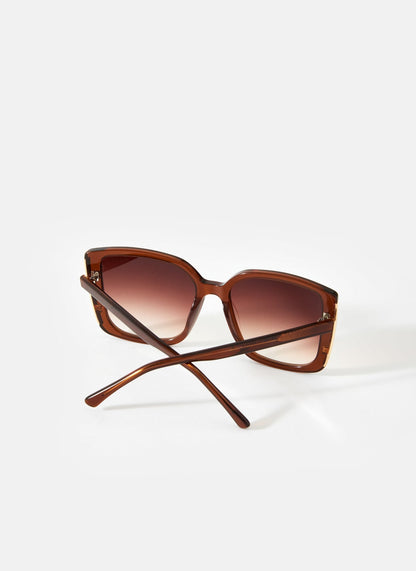 Brown Oversized Square Sunglasses