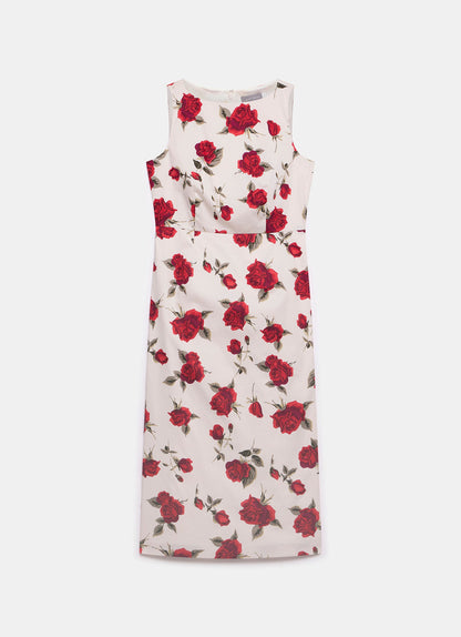Red Rose Print Midi Dress